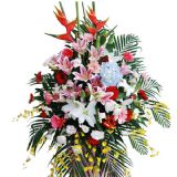 خʻٵ