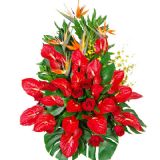 خʻٵ