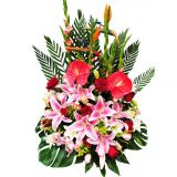 خʻٵ